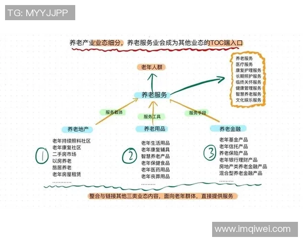 成都羽毛球队转型之路的挑战与机遇全景解析